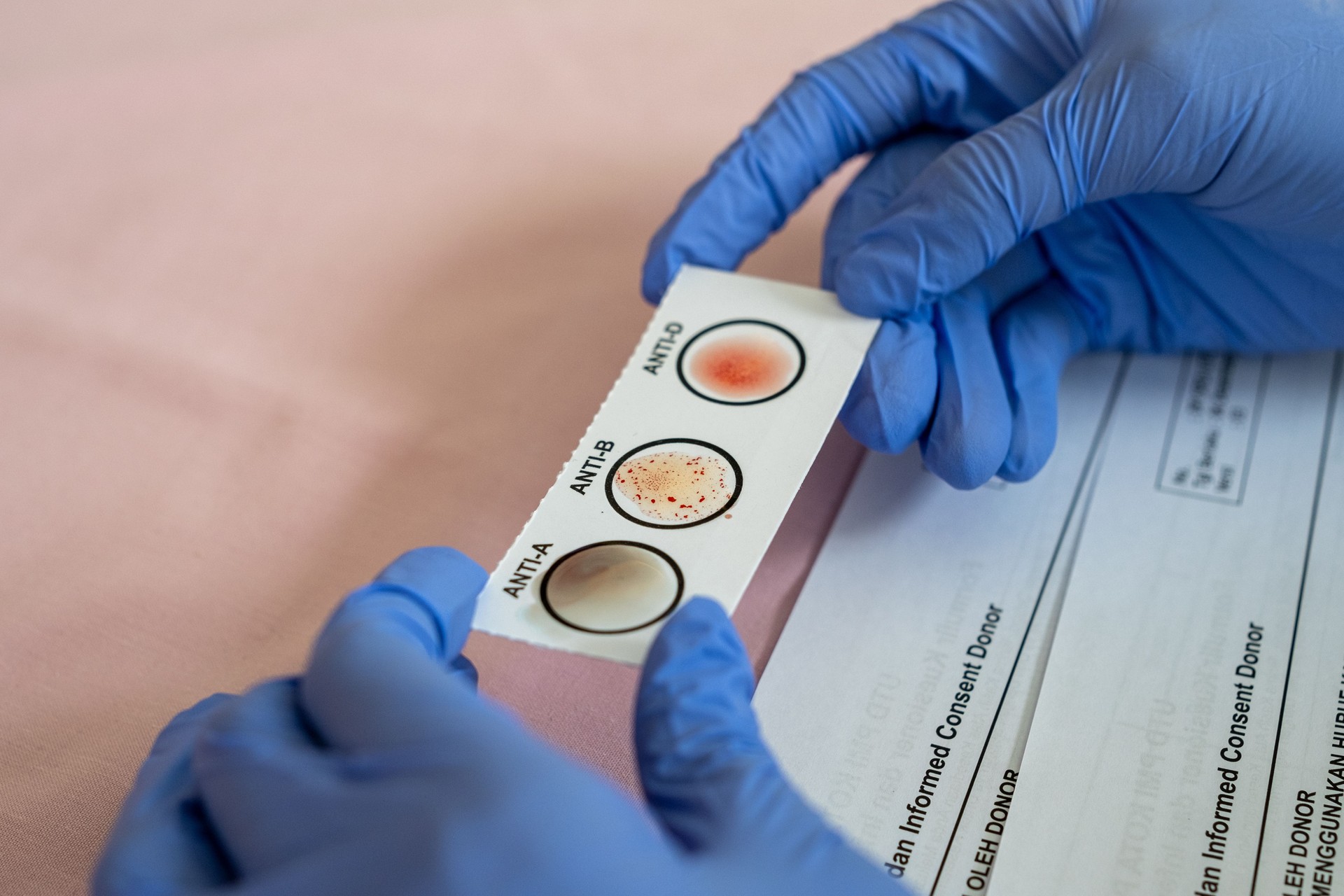 A medical officer wearing blue gloves is holding a blood type checking sample paper in a laboratory or hospital